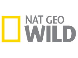 channel_logo