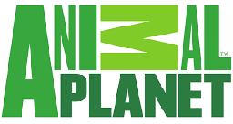 channel_logo