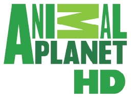 channel_logo